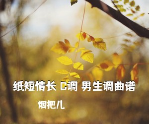 烟把儿《纸短情长 C调 男生调曲谱吉他谱》(C调)