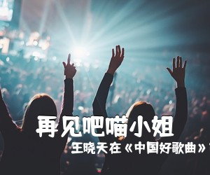 王晓天在《中国好歌曲》节目中《再见吧喵小姐吉他谱》