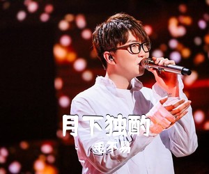毛不易《月下独酌吉他谱》(G调)