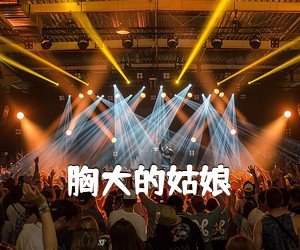 《胸大的姑娘吉他谱》(C调)