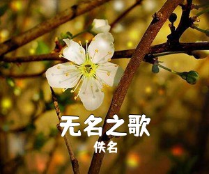 佚名《无名之歌简谱》
