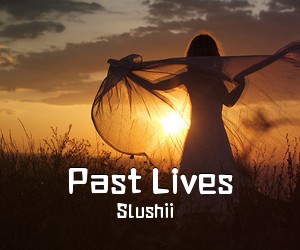 Slushii《Past Lives吉他谱》(C调)