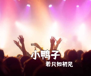 若只如初见《小鸭子简谱》