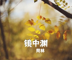 周林《镜中渊吉他谱》(G调)