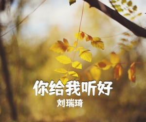 刘瑞琦《你给我听好吉他谱》(C调)