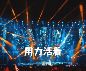 《用力活着吉他谱》(G调)