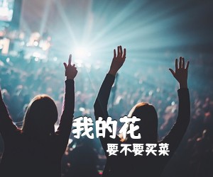 要不要买菜《我的花吉他谱》(C调)