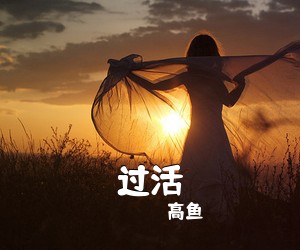 高鱼《过活吉他谱》(C调)