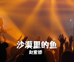 赵紫骅《沙漠里的鱼吉他谱》(G调)