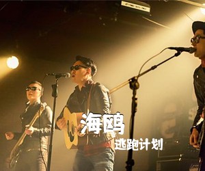 逃跑计划《海鸥吉他谱》(C调)