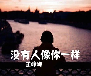 王峥嵘《没有人像你一样吉他谱》(G调)