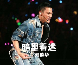 刘德华《暗里着迷吉他谱》(G调)