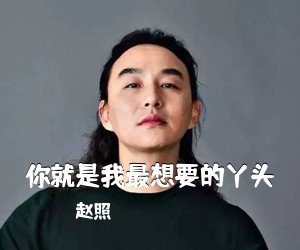赵照《你就是我最想要的丫头吉他谱》(C调)