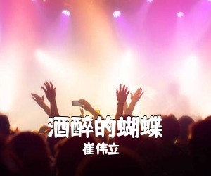 崔伟立《酒醉的蝴蝶吉他谱》(C调)