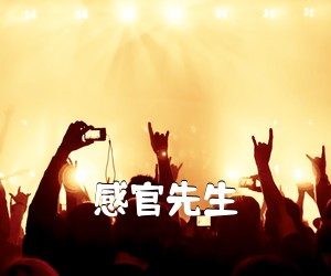 《感官先生吉他谱》(C调)