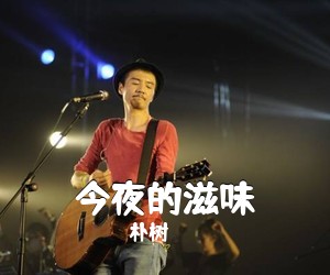 朴树《今夜的滋味吉他谱》(E调)