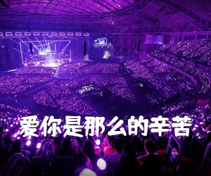 《爱你是那么的辛苦吉他谱》(C调)