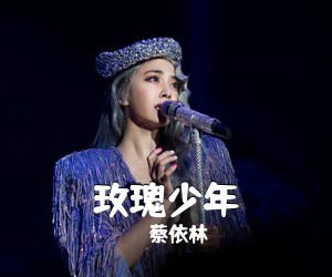 蔡依林《玫瑰少年吉他谱》(D调)