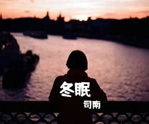 司南《冬眠吉他谱》(C调)