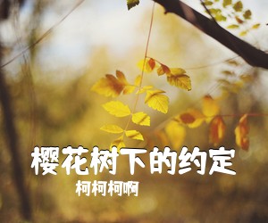 柯柯柯啊《樱花树下的约定吉他谱》(G调)