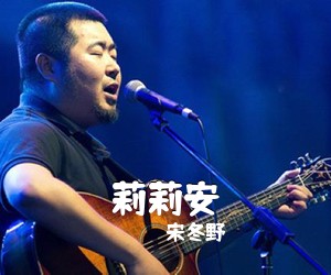 宋冬野《莉莉安吉他谱》(G调)