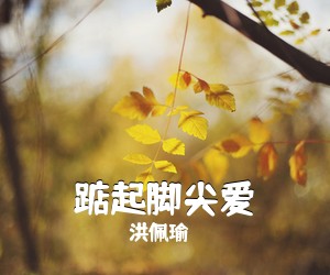 洪佩瑜《踮起脚尖爱吉他谱》(E调)
