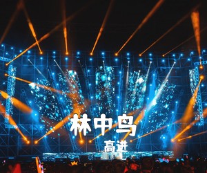 高进《林中鸟吉他谱》(C调)
