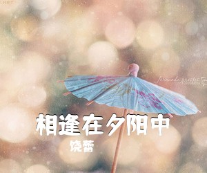 饶蕾《相逢在夕阳中简谱》