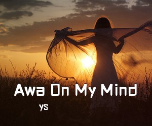 ys《Awa On My Mind吉他谱》(C调)