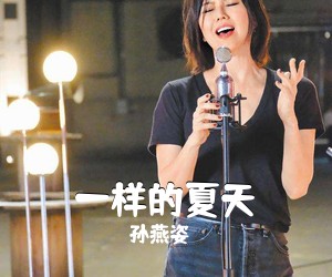 孙燕姿《一样的夏天吉他谱》(D调)