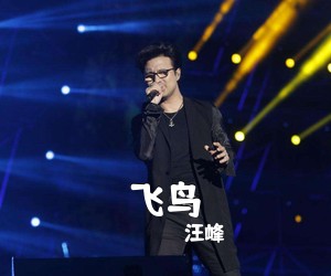 汪峰《飞鸟吉他谱》(A调)
