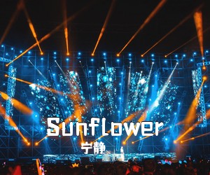 宁静《Sunflower吉他谱》