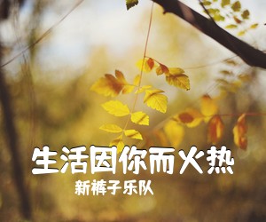 新裤子乐队《生活因你而火热吉他谱》(G调)