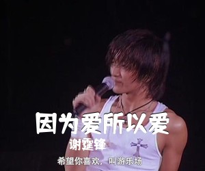 谢霆锋《因为爱所以爱吉他谱》(D调)