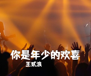 王贰浪《你是年少的欢喜吉他谱》