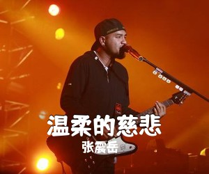张震岳《温柔的慈悲吉他谱》(G调)