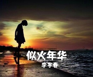 李宇春《似火年华吉他谱》(D调)