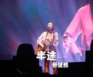 蔡健雅《半途吉他谱》(C调)