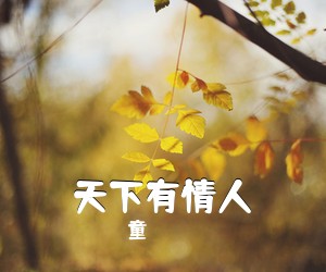 童珺《天下有情人吉他谱》(C调)