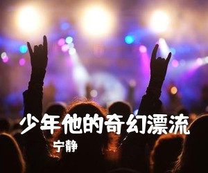 宁静《少年他的奇幻漂流吉他谱》