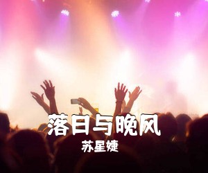 苏星婕《落日与晚风吉他谱》(G调)