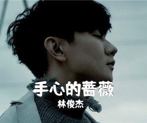 林俊杰《手心的蔷薇吉他谱》(G调)