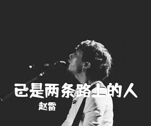 赵雷《已是两条路上的人吉他谱》(G调)