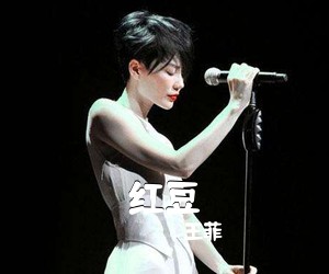 王菲《红豆吉他谱》(C调)