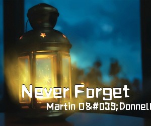 Martin O'Donnell Michael Salvatori《Never Forget简谱》