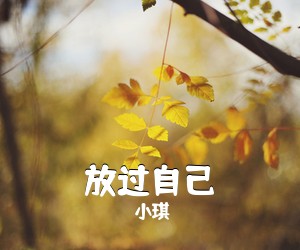 小琪《放过自己吉他谱》(C调)