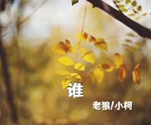 老狼/小柯《谁吉他谱》(C调)