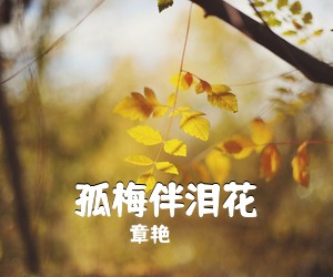 章艳《孤梅伴泪花简谱》