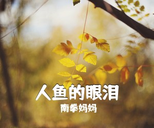 南拳妈妈《人鱼的眼泪吉他谱》(A调)