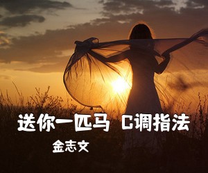 金志文《送你一匹马  C调指法吉他谱》(C调)